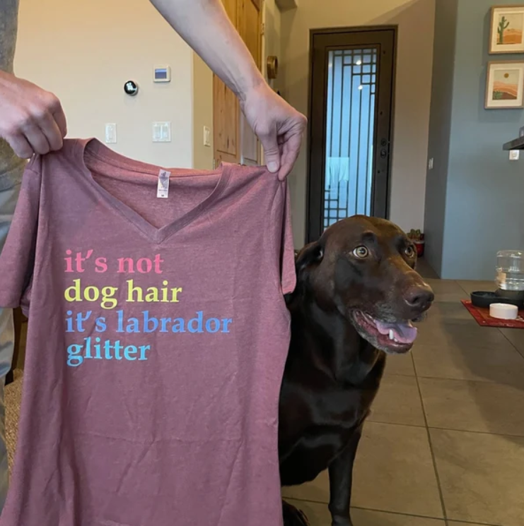 LabradorRetri's tweet image. 😍😍