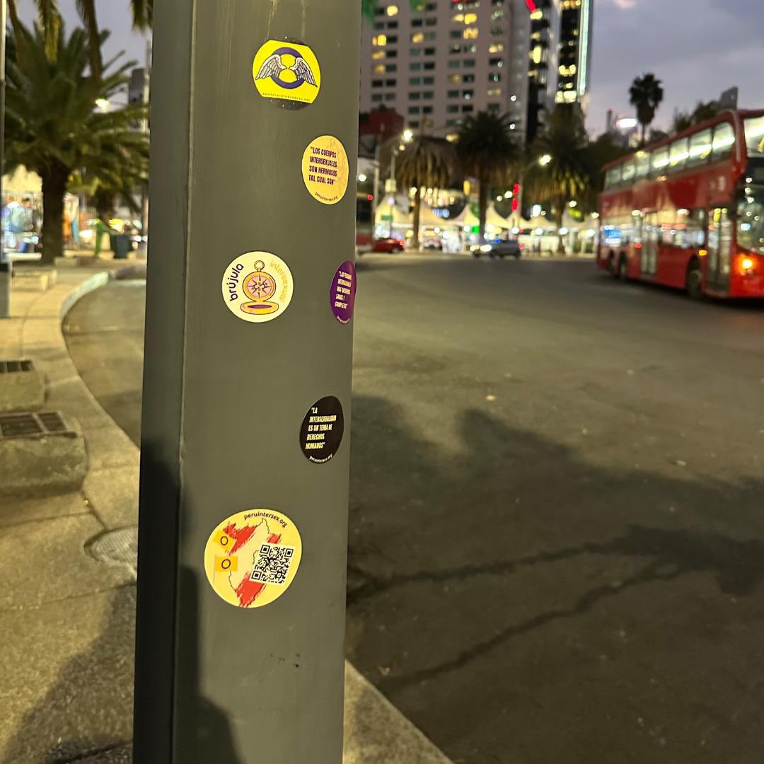 Bea Is de <a href="/Peru_Intersex/">Asociación Peruana De Personas Intersexuales</a> se reunió con personas de la comunidad intersexual mexicana en Ciudad de México.

#intersex #intersexualidad #intersexual