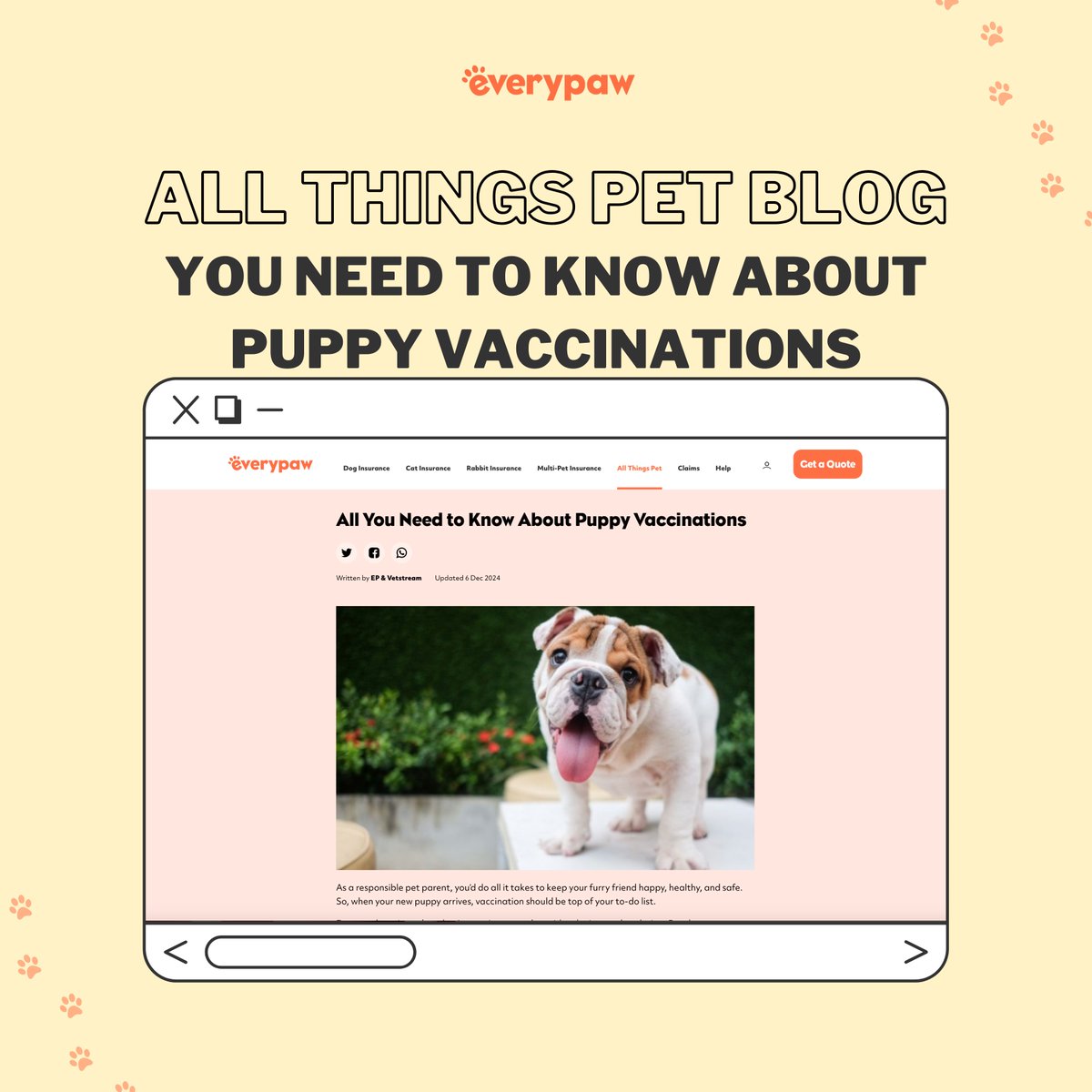 In our latest blog, we cover everything you need to know about puppy vaccinations.🐾💉

👉 Click the link below to ensure your puppy gets the best start in life:

everypaw.com/all-things-pet…

#PuppyVaccinations #HealthyPups #Everypaw #PetInsurance #EverypawUK #EverypawPetInsurance