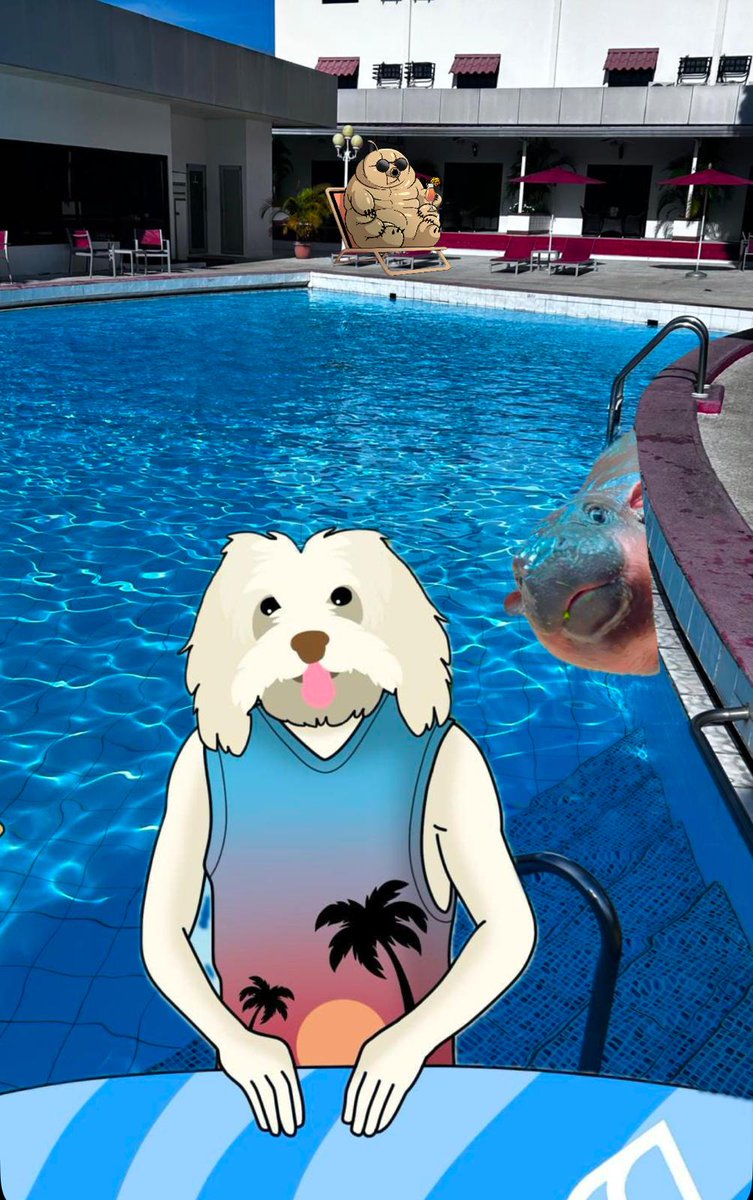 After hiking Volcan Baru in Panama yesterday, $TARDI needed a chill pool day with his pals <a href="/Tardionmoon/">Tardi</a> , <a href="/UniSuiCoin/">Uni | Sui Founders Dog</a> &amp; <a href="/hippo/">RaMoS</a>

<a href="/SuiNetwork/">Sui</a> memes stick together!

Pics of hike:
x.com/MarkZik/status…