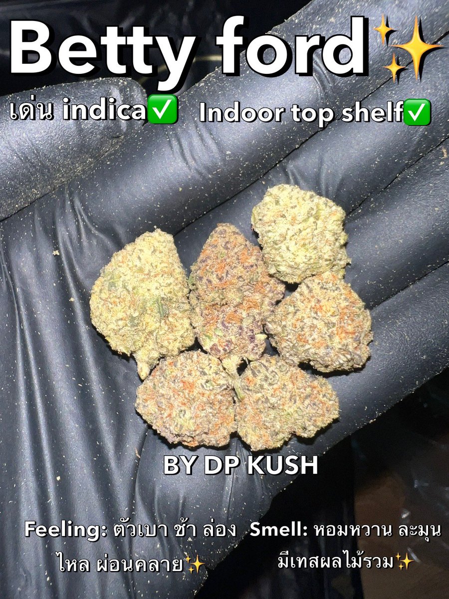 DP Kush tweet media