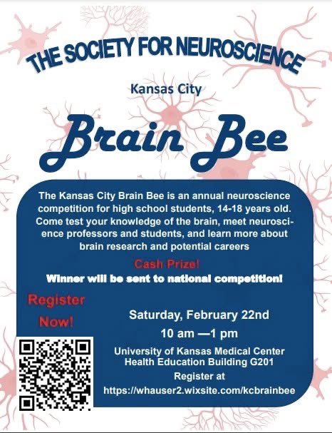 Good evening everyone! We are excited to announce that our 2025 Society for Neuroscience KC Brain Bee competition will be held at the University of Kansas Medical Center on Saturday, February 22nd.  See the flyer for more details!