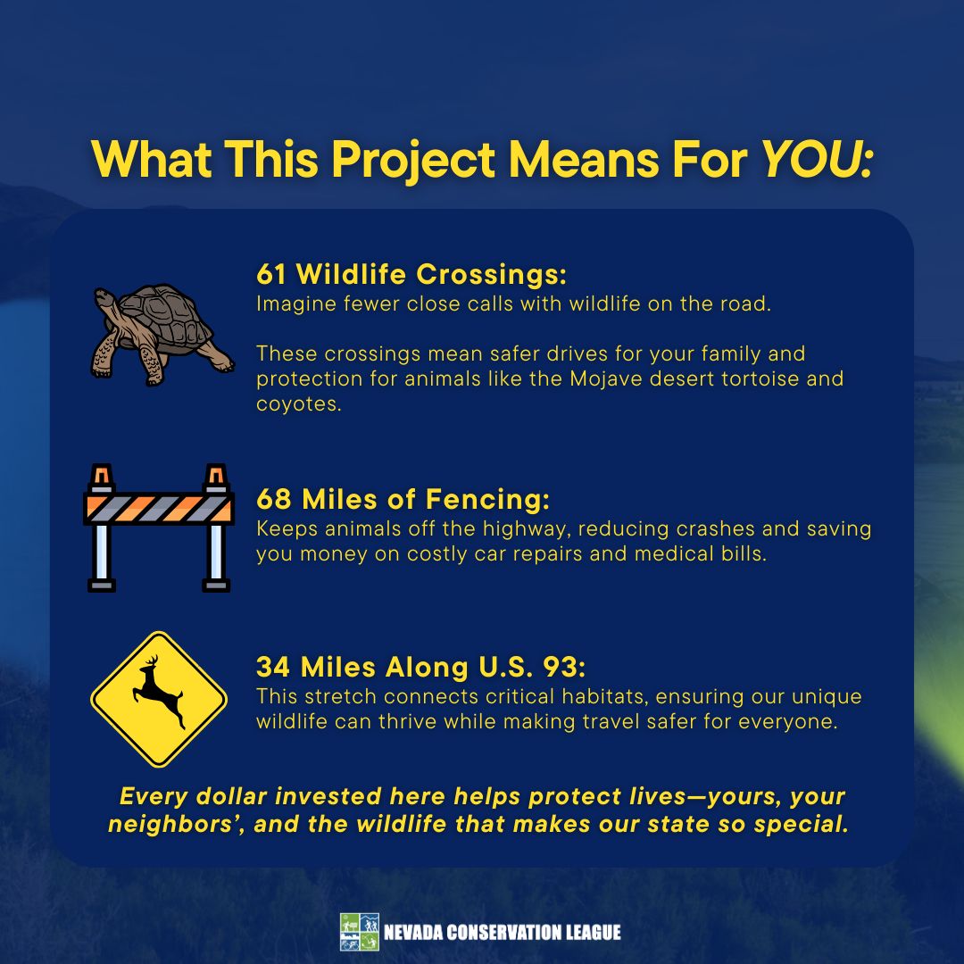 NV Conservation League (@nvconservation) on Twitter photo 🚨 #FUNDINGALERT: $16.8M is coming to #NV for 61 wildlife crossings and 68 miles of fencing along US-93!
These crossings will make our roads safer while protecting the Mojave Desert tortoise and other wildlife that call Nevada home. <a href="/nevadadot/">Nevada DOT</a> 🚨 #FUNDINGALERT: $16.8M is coming to #NV for 61 wildlife crossings and 68 miles of fencing along US-93!
These crossings will make our roads safer while protecting the Mojave Desert tortoise and other wildlife that call Nevada home. <a href="/nevadadot/">Nevada DOT</a>
