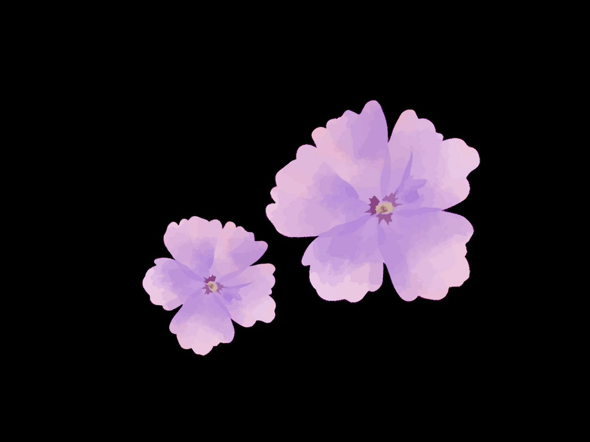 ︵︵𖥔︵︵𖥔︵︵
𝝡𝝨̶̤     ♢   𝝪𝝤𝗨