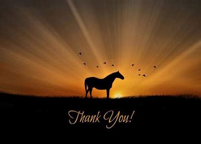 InspiredEAL's tweet photo. We’re grateful that 2 parents promoted us at their workplace, resulting in 2 donations that will help us to keep supporting children &amp; adults. If your employer supports VCFSE organisations, please mention us. Thanks! #donations #equinetherapy #VCFSE #mentalwellbeing #lincsconnect https://t.co/QF0PdEO8RY