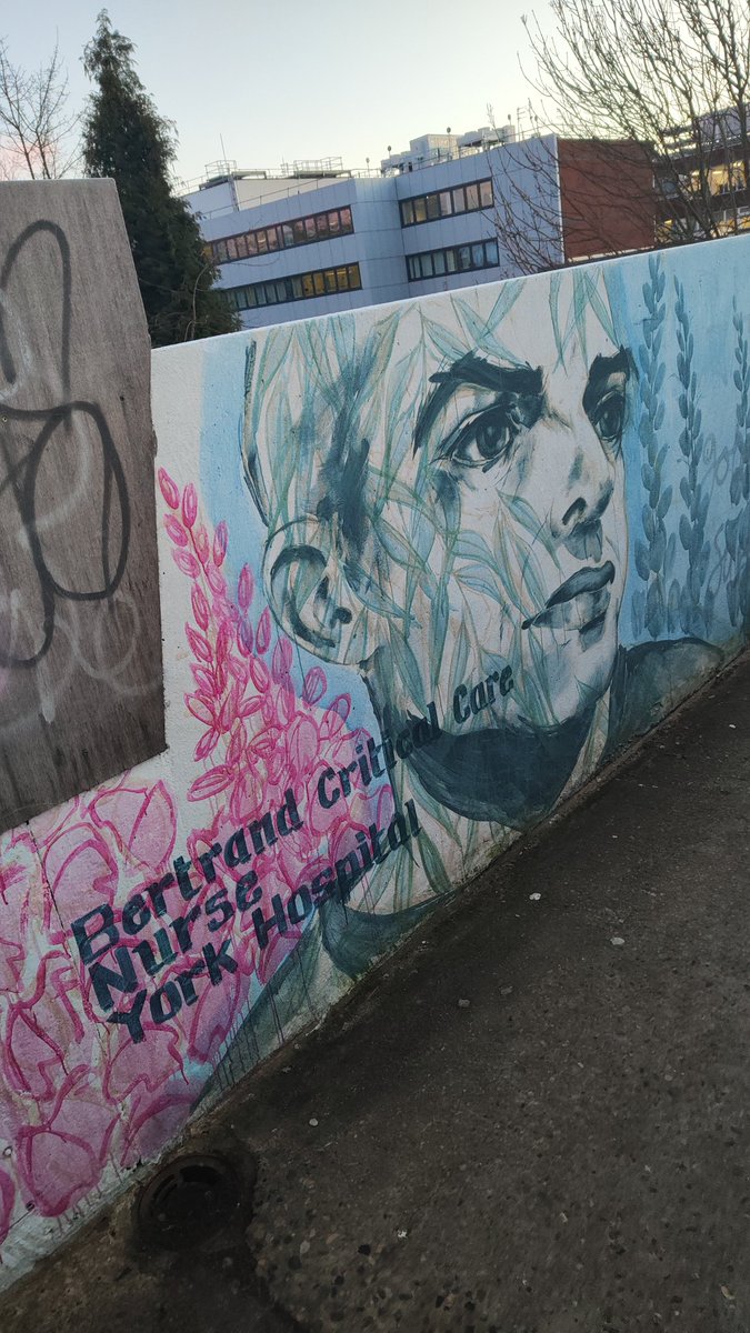 david 💙 tweet media