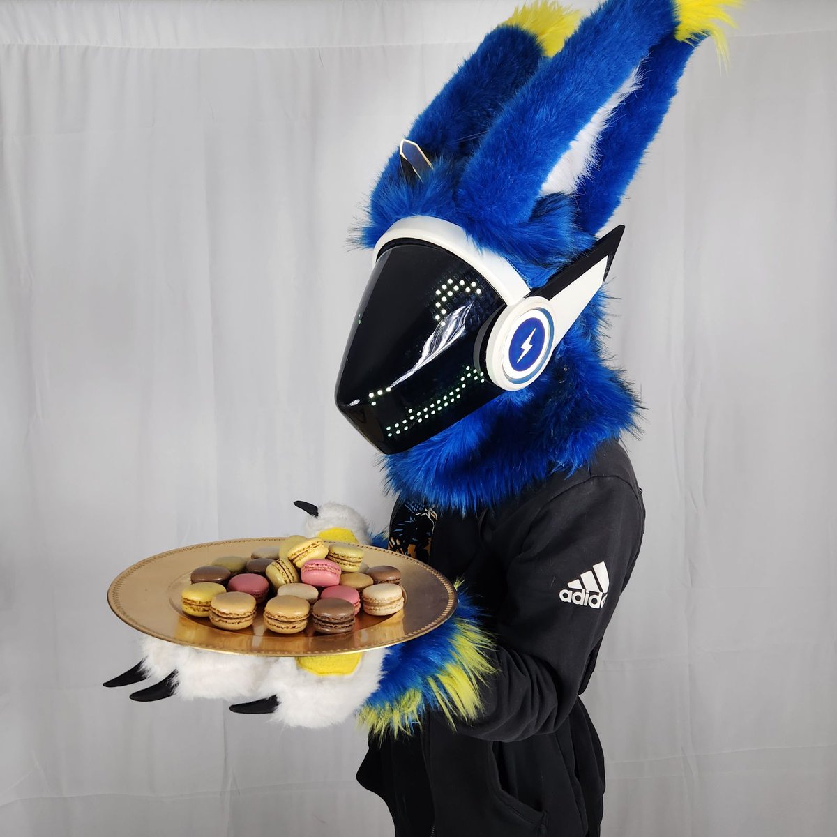 Meet this adorable blue protogen who, with a big smile, is offering you colorful macarons!🌈🍪
Rencontrez ce protogen bleu tout mignon qui, avec un grand sourire, vous offre des macarons colorés ! 🌈🍪  
#Protogen #Macarons #Douceur #Bonheur #Bleu #fur #furry #fursuitmaker