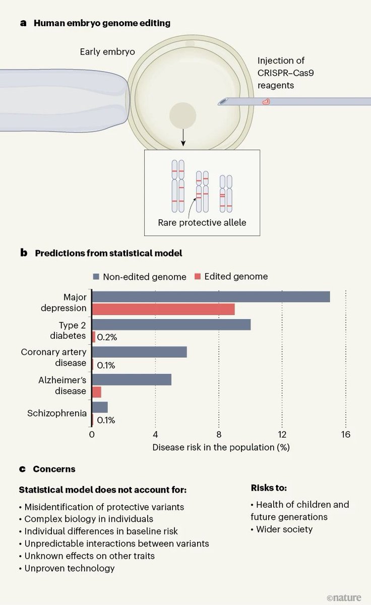 Waggoner Lab (@labwaggoner) on Twitter photo Human embryo editing against disease is unsafe and unproven despite rosy predictions <a href="/Nature/">nature</a>
<a href="/ShaiCarmi/">Shai Carmi</a> <a href="/HankGreelyLSJU/">Hank Greely</a> <a href="/WiringTheBrain/">Kevin Mitchell</a>
nature.com/articles/d4158…
Heritable polygenic editing: the next frontier in genomic medicine?
<a href="/juliansavulescu/">Julian Savulescu</a>
nature.com/articles/s4158… Human embryo editing against disease is unsafe and unproven despite rosy predictions <a href="/Nature/">nature</a>
<a href="/ShaiCarmi/">Shai Carmi</a> <a href="/HankGreelyLSJU/">Hank Greely</a> <a href="/WiringTheBrain/">Kevin Mitchell</a>
nature.com/articles/d4158…
Heritable polygenic editing: the next frontier in genomic medicine?
<a href="/juliansavulescu/">Julian Savulescu</a>
nature.com/articles/s4158…