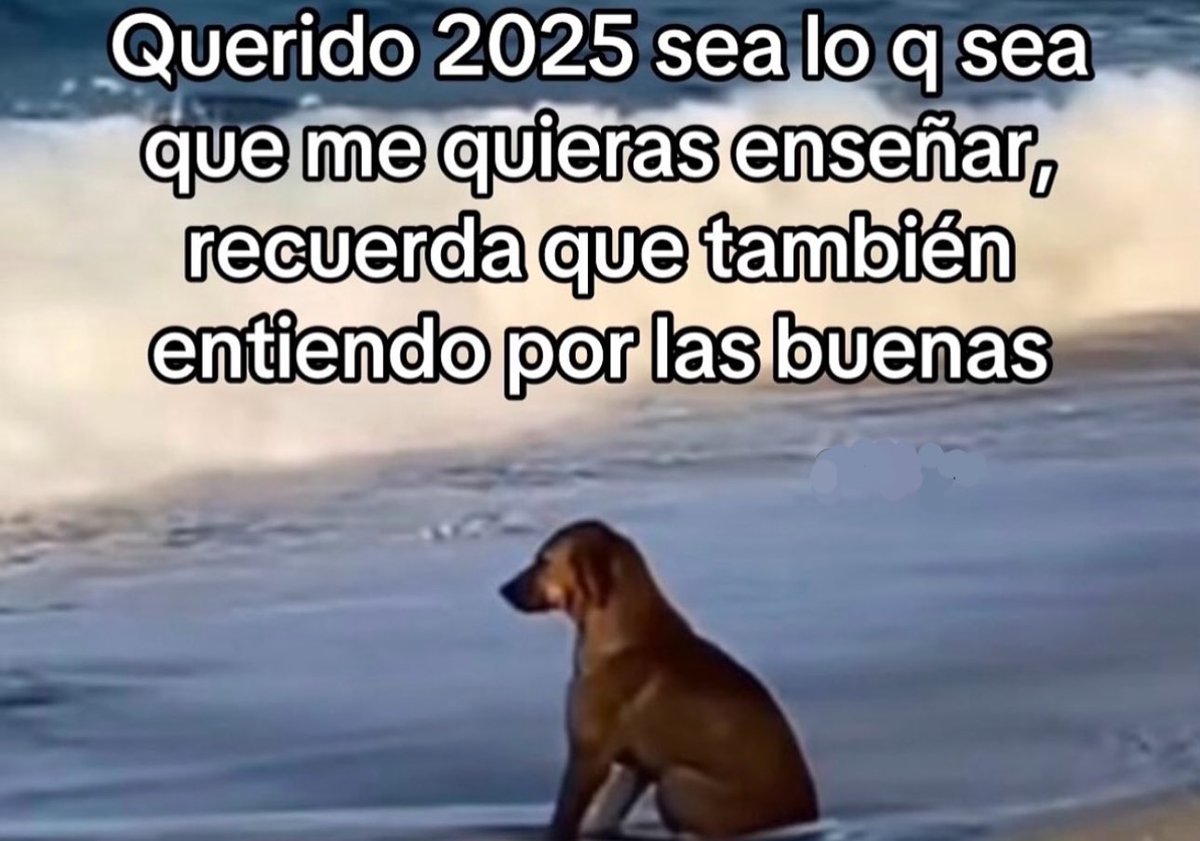 piña sin pizza tweet media