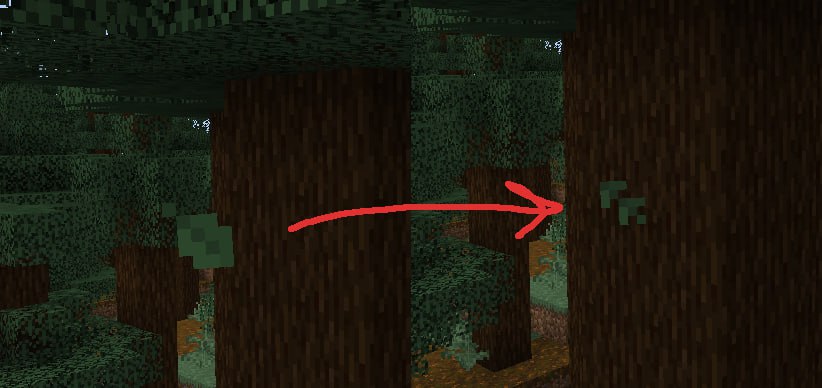 Why are the leaves falling from the spruce?
#Minecraft