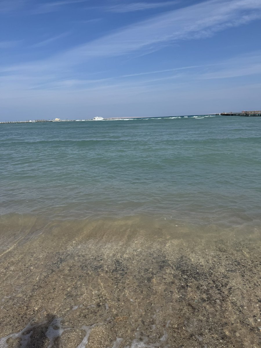 Another day of reading and chilling 🌴☀️🌊📚🇪🇬