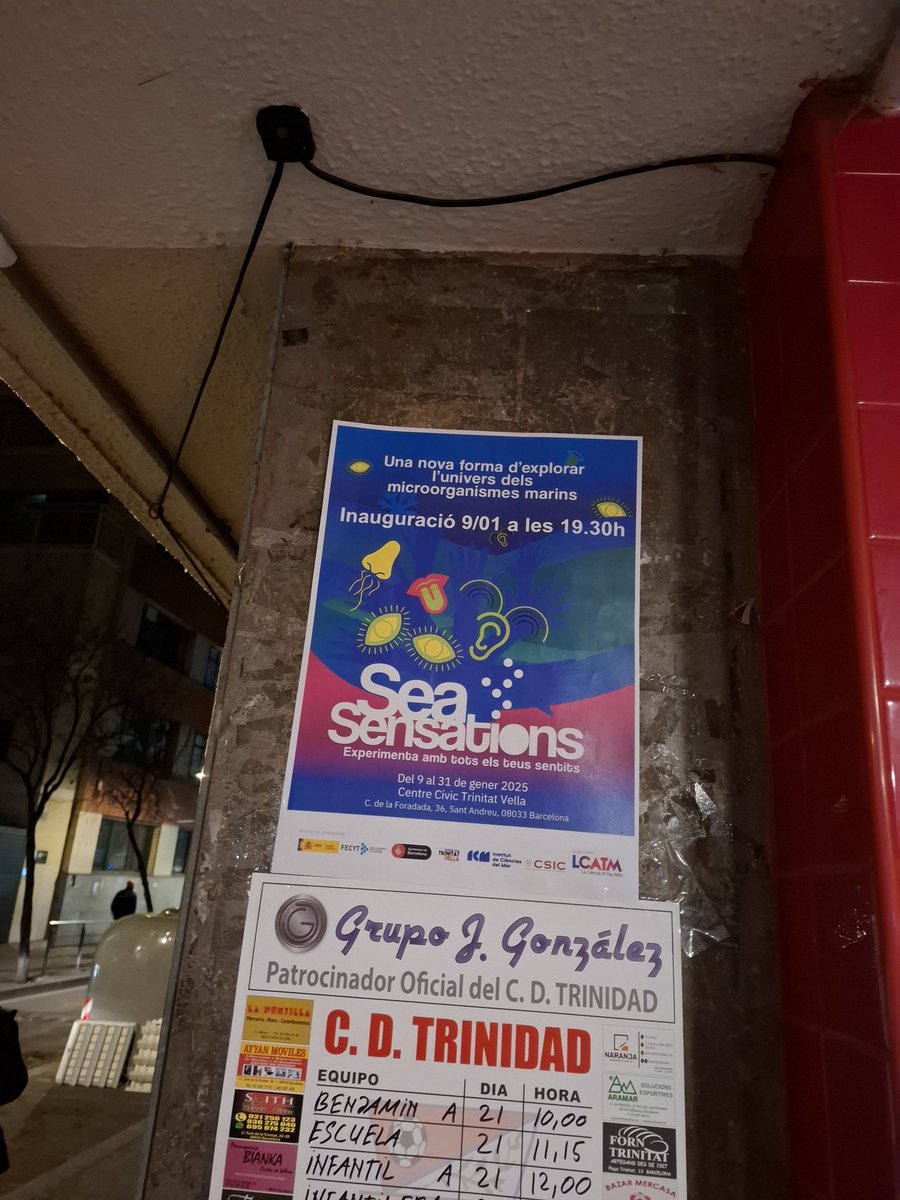 LaCiènciaAlTeuMón (@lcatmon) on Twitter photo Tot a punt!
Us esperem demà a l'inauguració de l'Exposició Interactiva "SeaSensations: Experimenta l'univers dels microorganismes marins amb tots els sentits"
9/gener/25 19:30 al Centre Cívic #TrinitatVella, C. de la Foradada, 36, Sant Andreu, 08033
Organitza <a href="/LCATMon/">LaCiènciaAlTeuMón</a> amb la Tot a punt!
Us esperem demà a l'inauguració de l'Exposició Interactiva "SeaSensations: Experimenta l'univers dels microorganismes marins amb tots els sentits"
9/gener/25 19:30 al Centre Cívic #TrinitatVella, C. de la Foradada, 36, Sant Andreu, 08033
Organitza <a href="/LCATMon/">LaCiènciaAlTeuMón</a> amb la