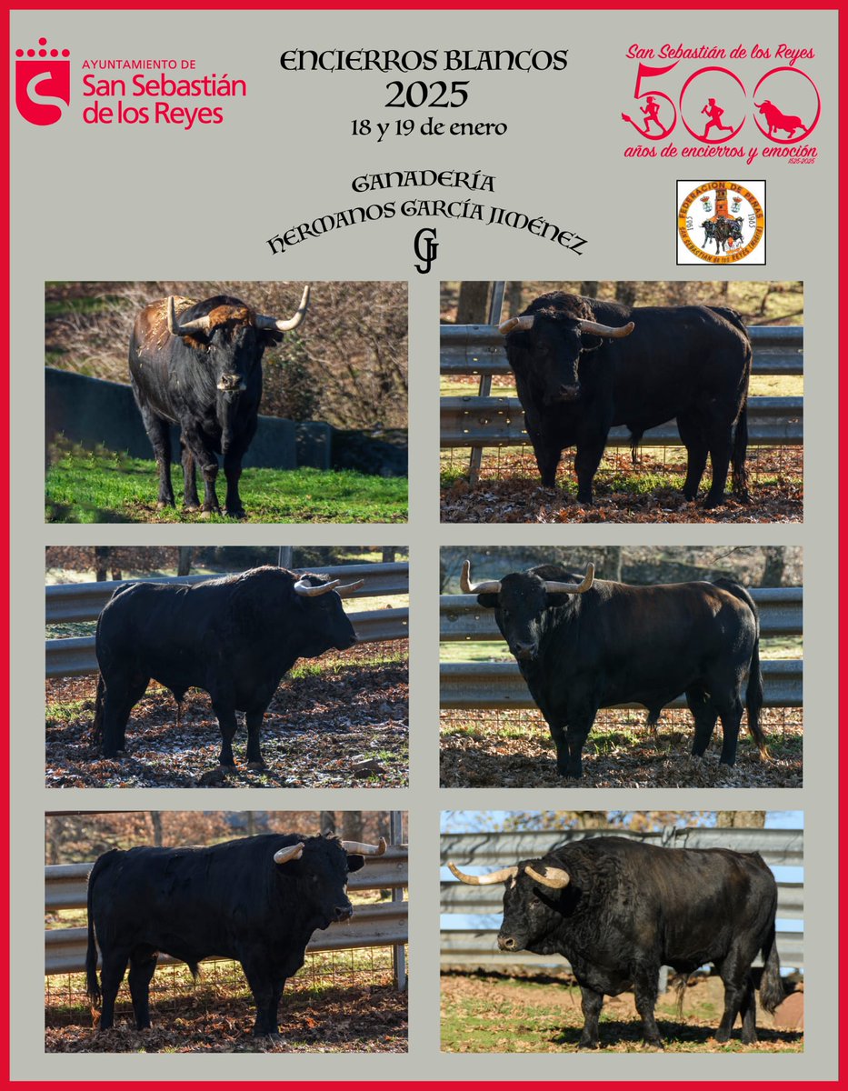 Estos son los toros que correrán por las calles de San Sebastián de los Reyes los días 18 y 19 de enero en los Encierros Blancos