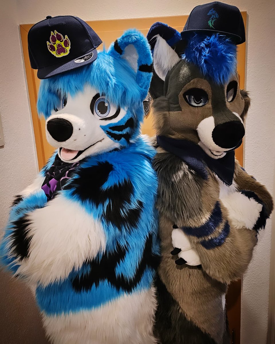 Vuk🔜NFC/2Dance (@vwusky) on Twitter photo New Albumcover in the making. 🐺🎶
Maybe we should also prepare Songs... or better not?! 🤔😋
Anyways, happy #wuskywednesday everyone 🤗
🐺 <a href="/SliverWusky/">Sliver 🔜 EF</a>
📸 <a href="/lupus_taurus/">LupusTaurusAD🔜TFI🏝🌴</a> New Albumcover in the making. 🐺🎶
Maybe we should also prepare Songs... or better not?! 🤔😋
Anyways, happy #wuskywednesday everyone 🤗
🐺 <a href="/SliverWusky/">Sliver 🔜 EF</a>
📸 <a href="/lupus_taurus/">LupusTaurusAD🔜TFI🏝🌴</a>