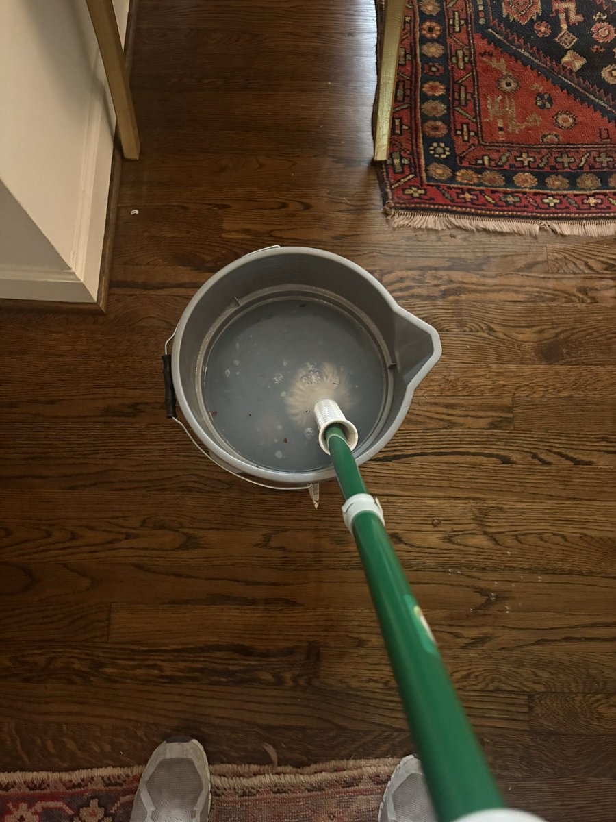 Haitigangleader's tweet image. Mopping my house. #bringbackkamala #opentheborder