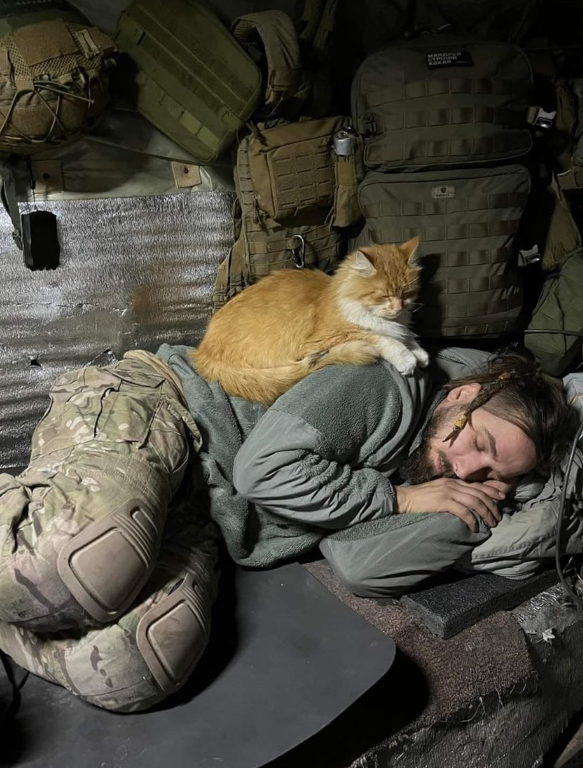 Ukrainian poet and soldier Maxim Krivchov (Кривцов Максим) and his cat were killed by the Russians on 7th of January