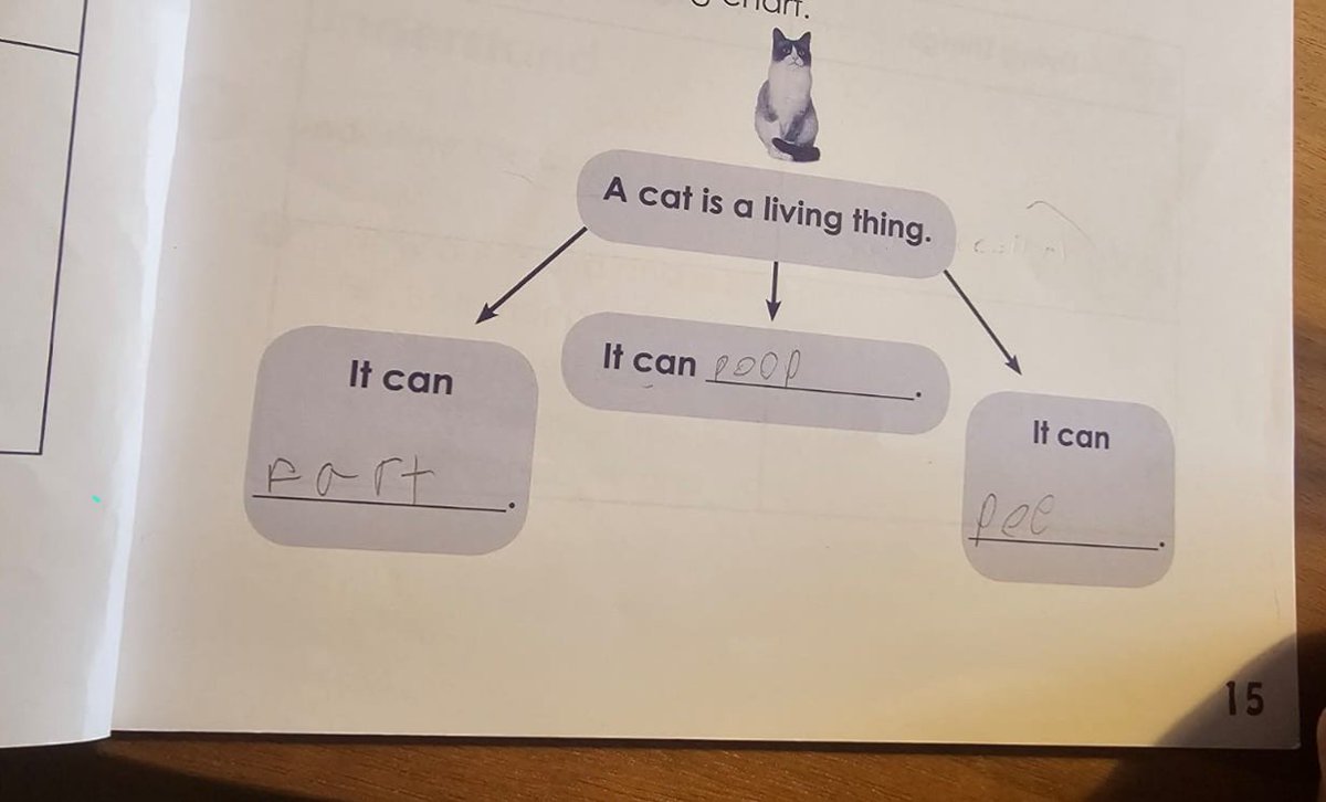 My nephew's homework 🤔🤔🤨