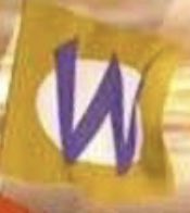 Wario Guy tweet media