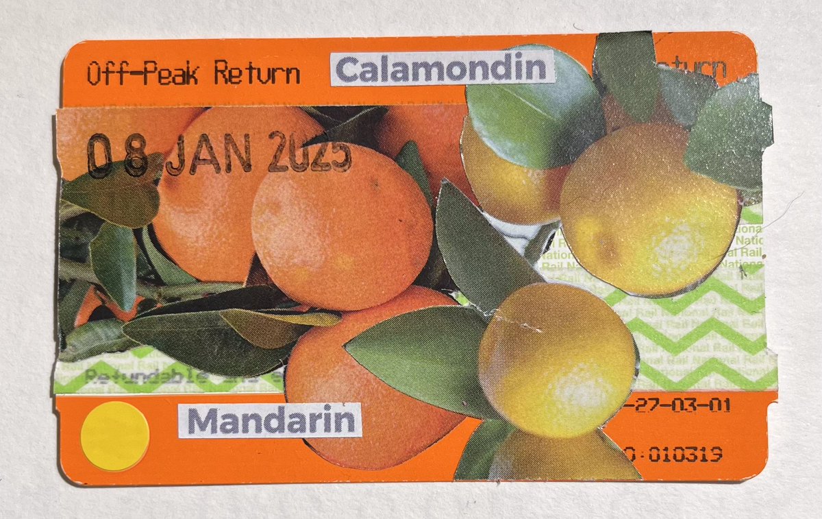 #drawing 4557 day 8 - exotic fruit #collage #ticketart 
#thedailysketch #adrawingaday #30daysketchbookchallenge@30daysketchbookchallenge