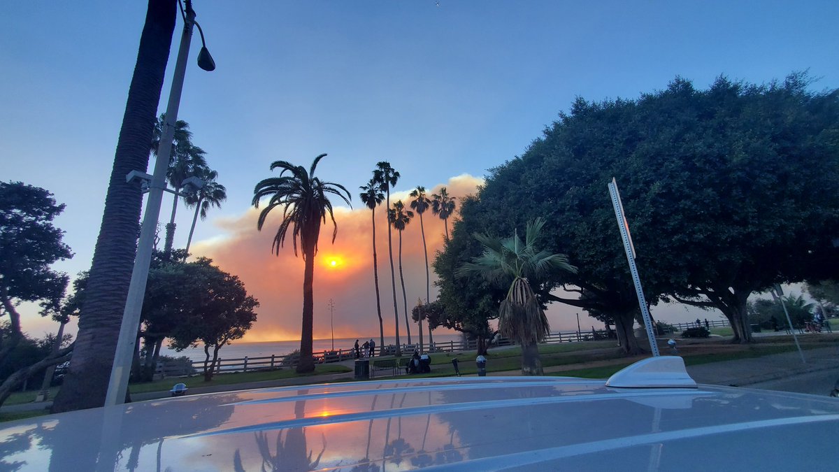 Nika_Allahverdi's tweet photo. To friends and neighbors north of Wilshire, north of Montana, in Palisades, and Malibu: if you need someone to care for your animal please reach out. Stay safe! #losangelesfires #PalisadesFire https://t.co/5YUAAFPFA4