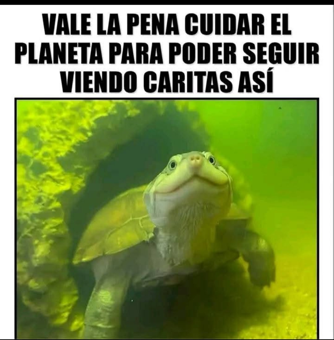 migomez67's tweet photo. https://t.co/ZmDKE1lacX