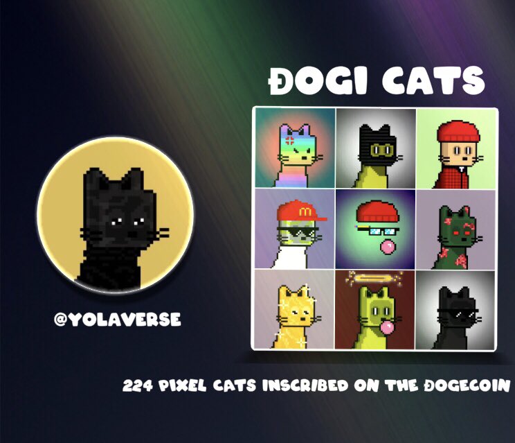 beastdontsleep's tweet photo. Thought it was 224 dogi cats

How is it 215 Dogi Cats now lol this guy @YolaVerse a real scammer❗️ 🤦‍♂️ 

Got audio of you saying fuck your community too smh 🤦‍♂️ 

#DOGE watch out for this guy https://t.co/PODuc7lfAg