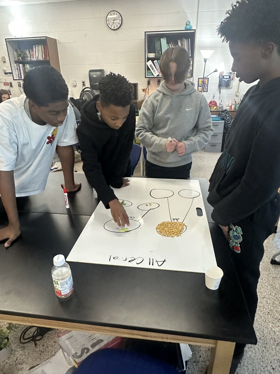 Intro to classification is always fun when cereal is involved! Collaboration + HUGE whiteboards + engagement