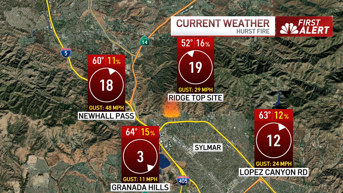 David Biggar tweet media