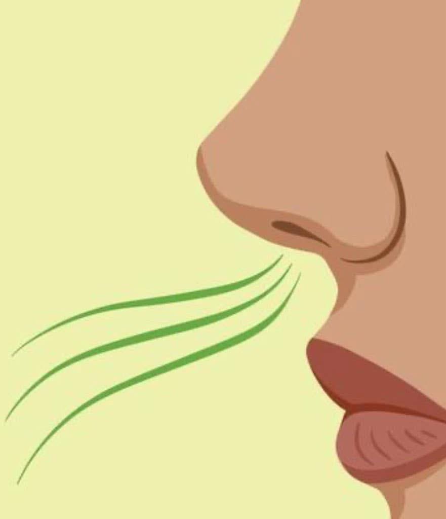 Sony is working on a gaming system that could allow players to smell in-game environments.