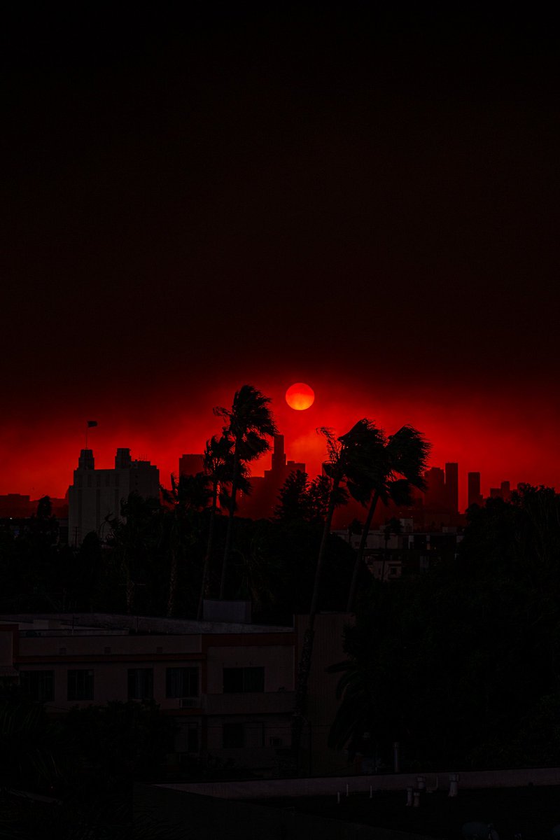 Joseph Gabay tweet media