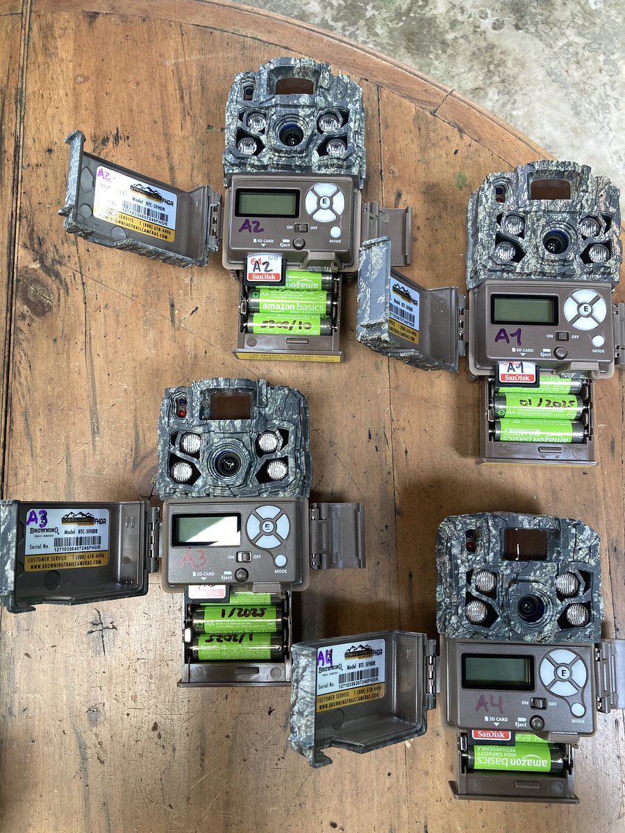 Equilibrio Azul tweet media