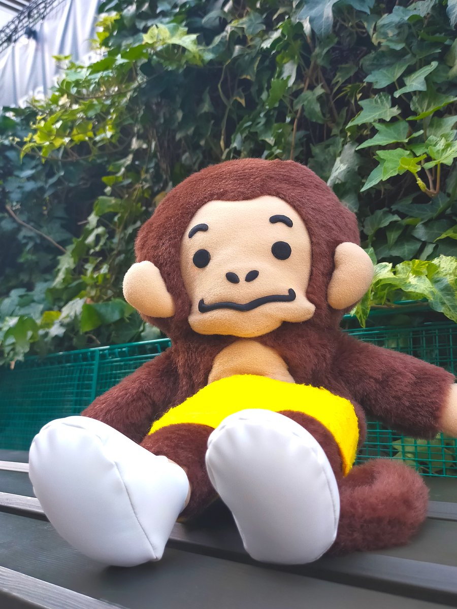 DA PUMKEY(ダパンキー) tweet media