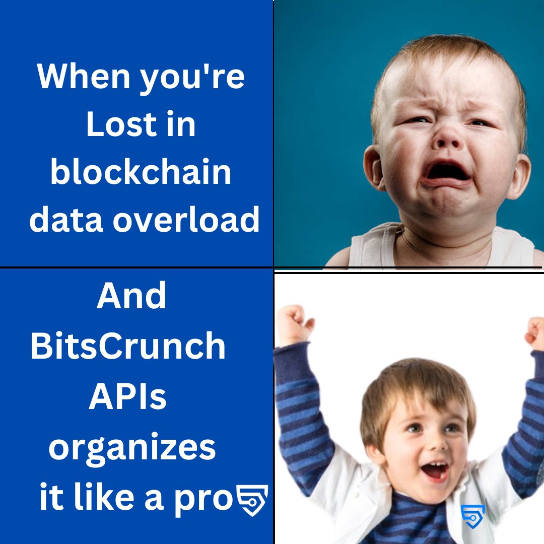 kingofcrypes's tweet image. #bitsCrunchData @bitsCrunch $BCUT