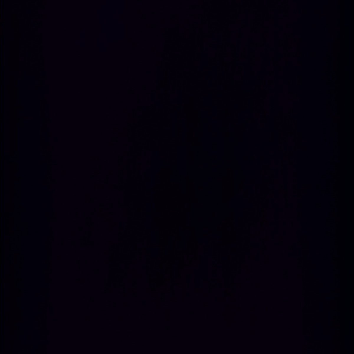#NewProfilePic Making this profile #dormant while <a href="/elonmusk/">Elon Musk</a> is broadcasting dangerous #rhetoric. Hoping for a brighter future; a world driven by kindness and compassion. 🙏