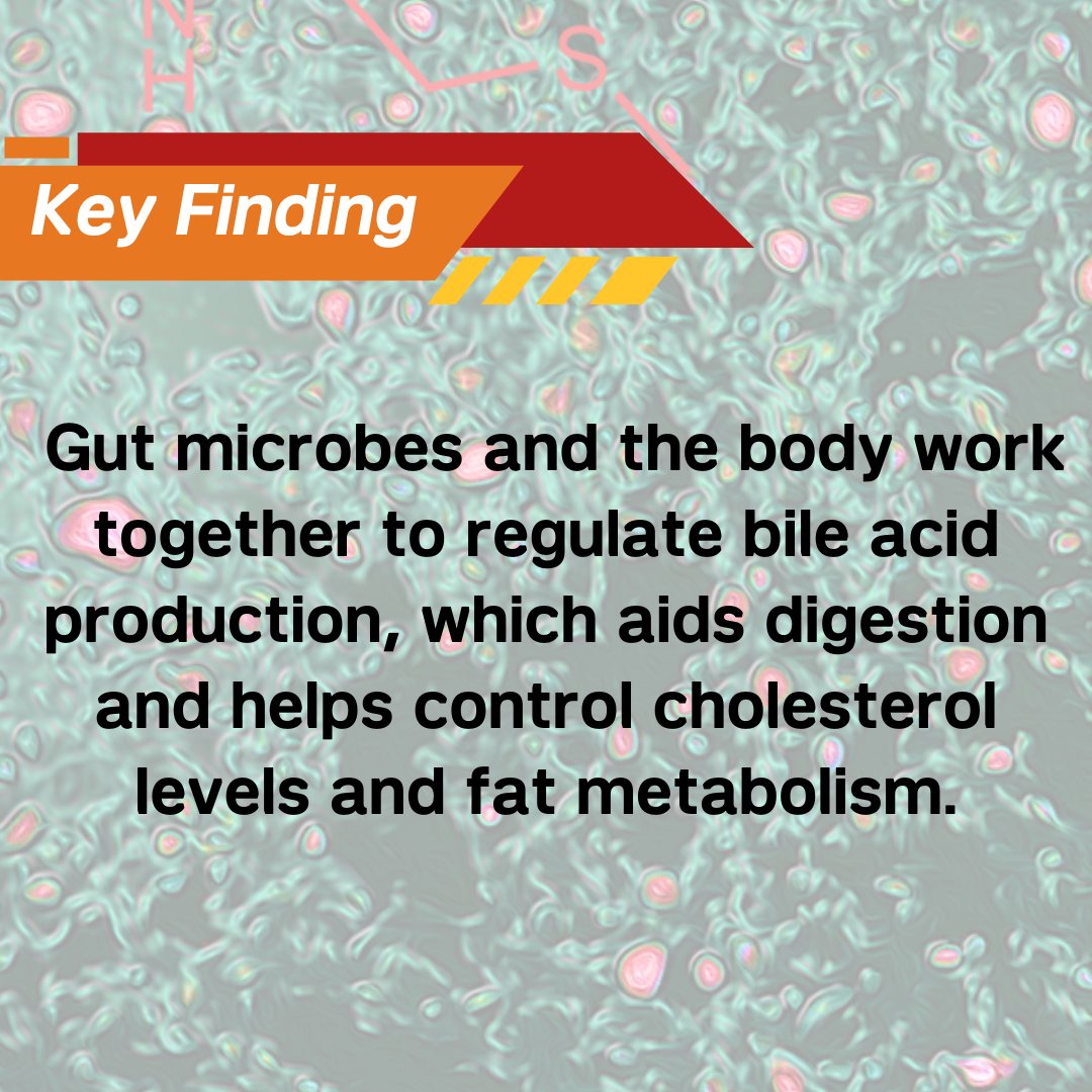 WeillCornell's tweet photo. A new study reveals checks and balances between gut microbes and body and suggests potential treatment targets for metabolic disorders, according to Dr. David Artis of @WCM_IBD and researchers from Boyce Thompson Institute (@BTIscience).

Full story: https://t.co/t79PJnb96q https://t.co/yHyD9w4efC