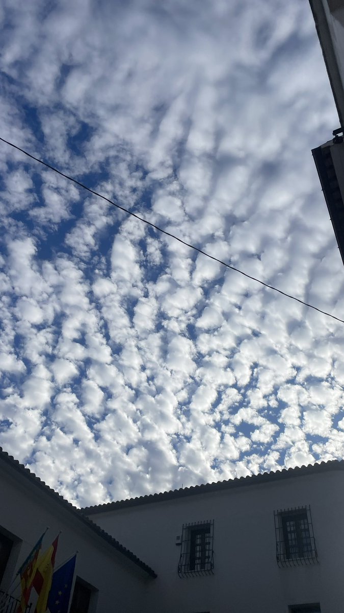 Primera clase de ciclo ✨
Día de compras ✨