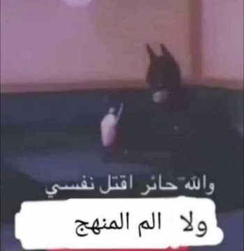 عبدالرحمن⛄ (@abdulrahman_h20) on Twitter photo 