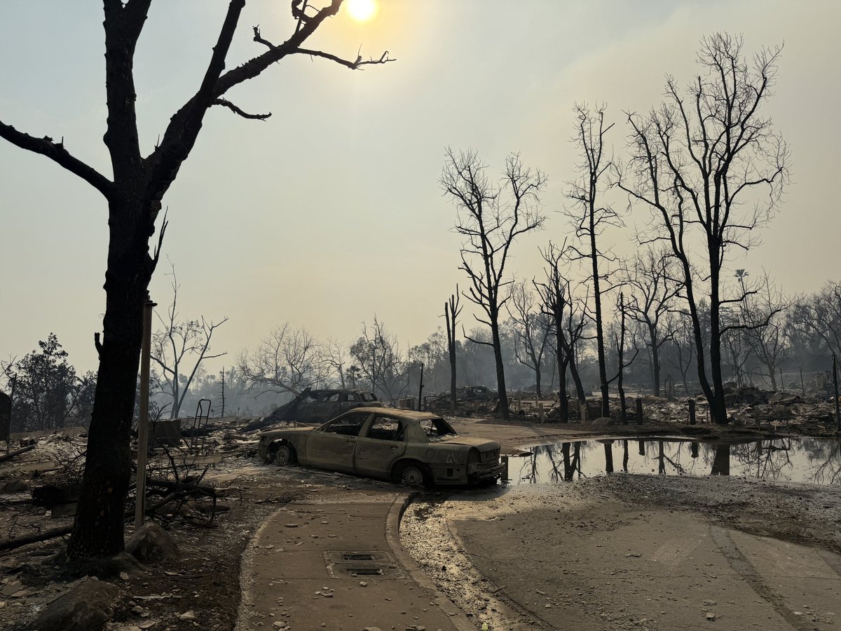 stuartpalley's tweet image. dove creek lane in altadena. half the condo complex gone. resident here who made sure his mom got out safe #eatonfire