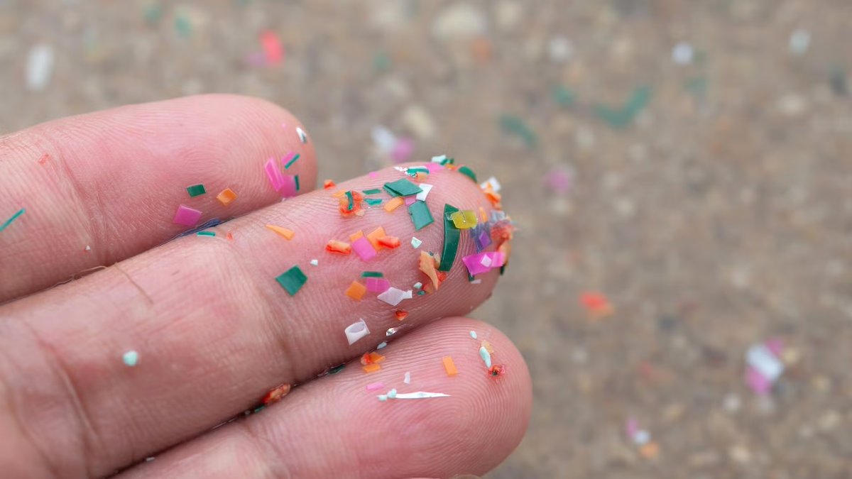 Microplastics pollute our waters &amp; food chain and #UWaterloo researchers are fighting back! 🧬

By engineering bacteria to biodegrade PET plastics in wastewater, they’re tackling pollution and antibiotic resistance at its source.

More: bit.ly/421qvfa | #UWaterlooNews