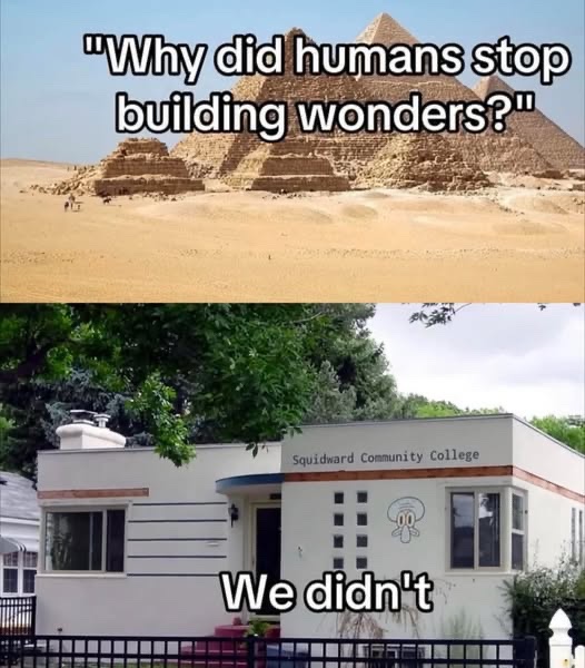 Respectful Memes (@respectfulmemes) on Twitter photo 