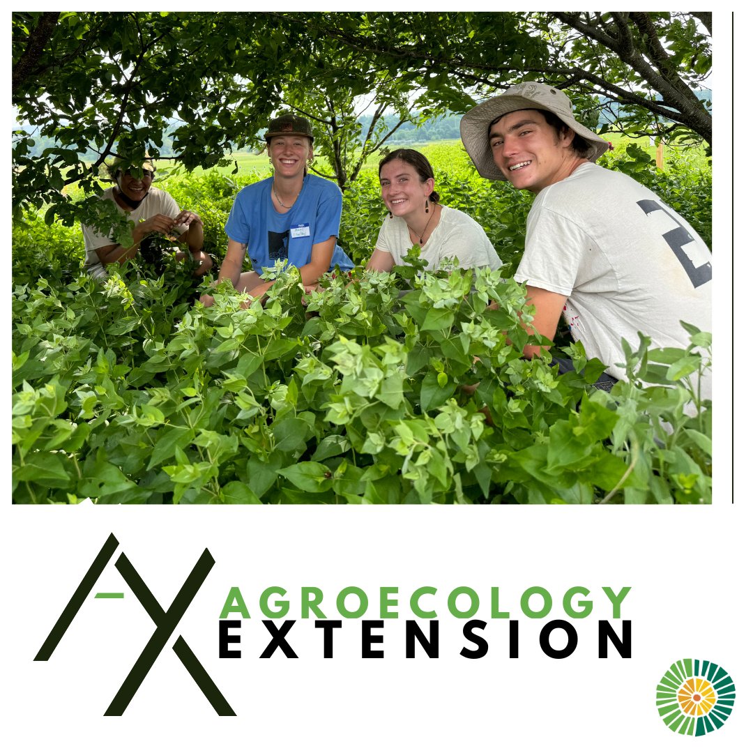 Applications for the 2025 Agroecology Extension (AX) Summer Research Fellowship are now live!

Fully paid, 10-week research and outreach experience based at the University of Vermont in Burlington, VT. 

uvm.edu/instituteforag…