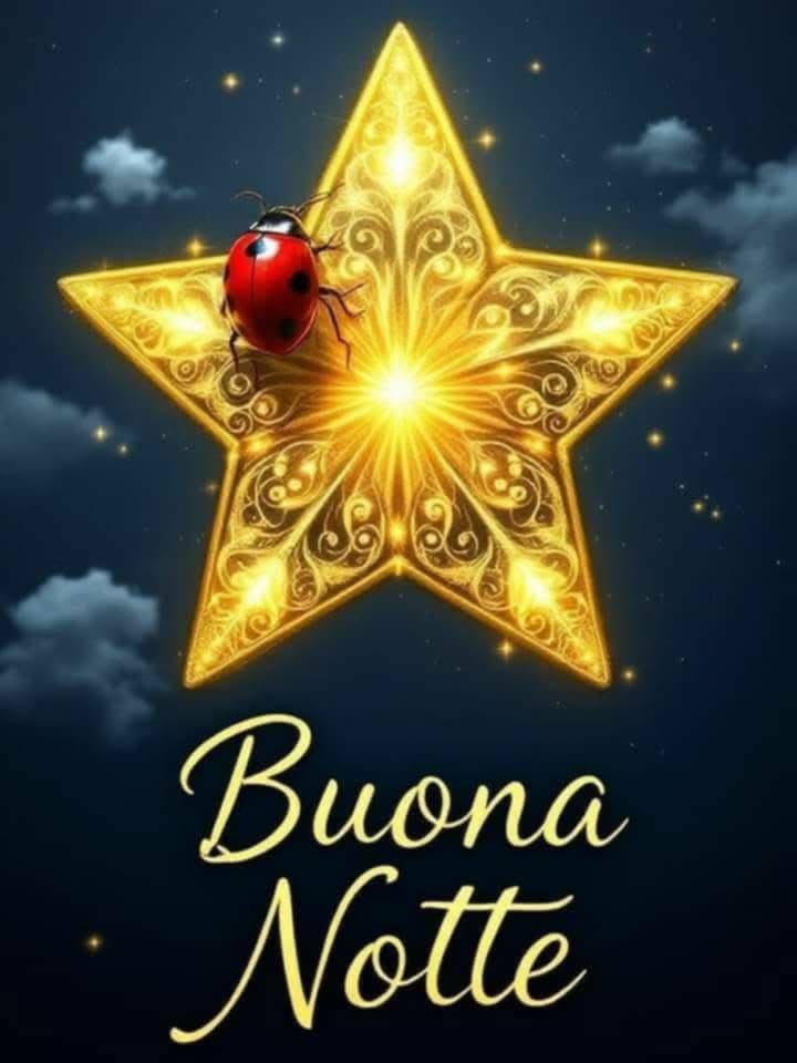 RITABIANCHi56 tweet media