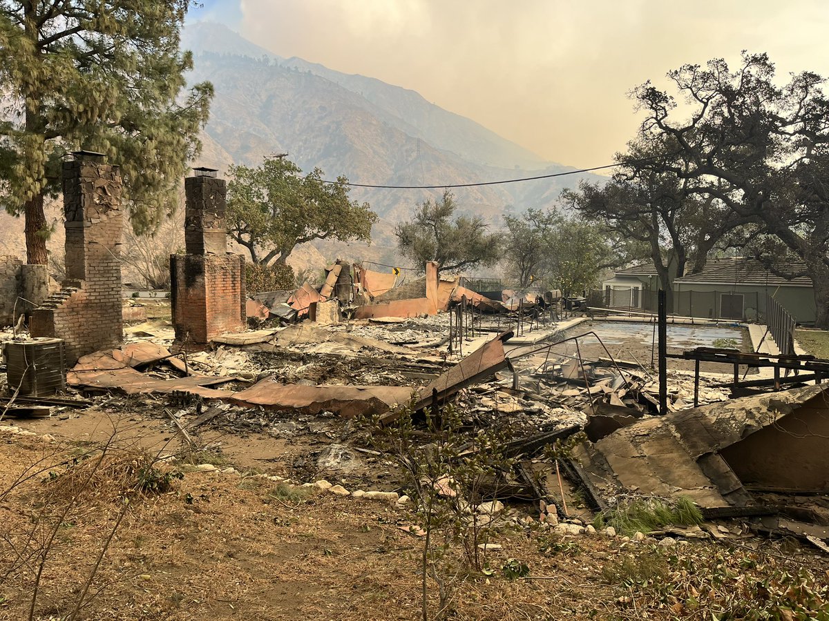 Matthew Ormseth tweet media