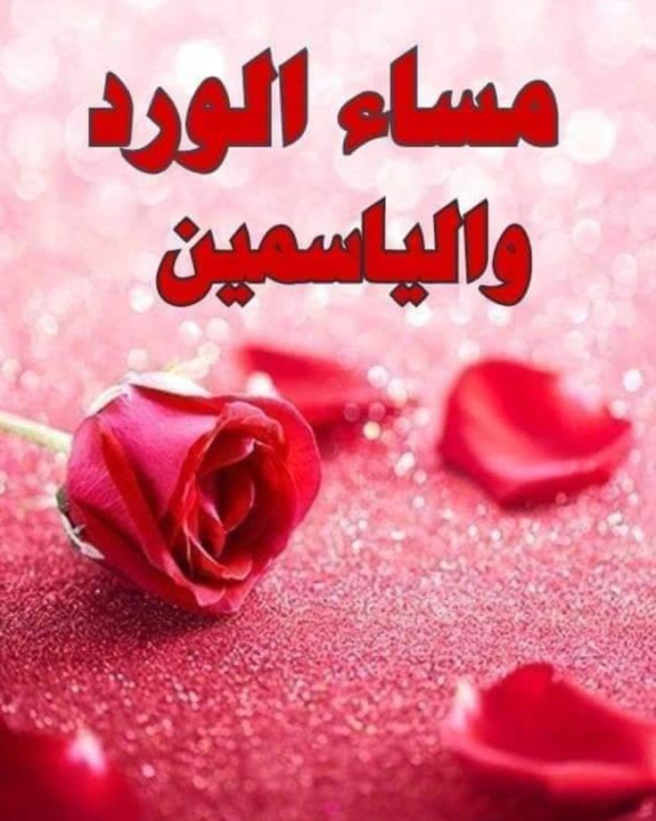 Aij (@aij1541697) on Twitter photo 