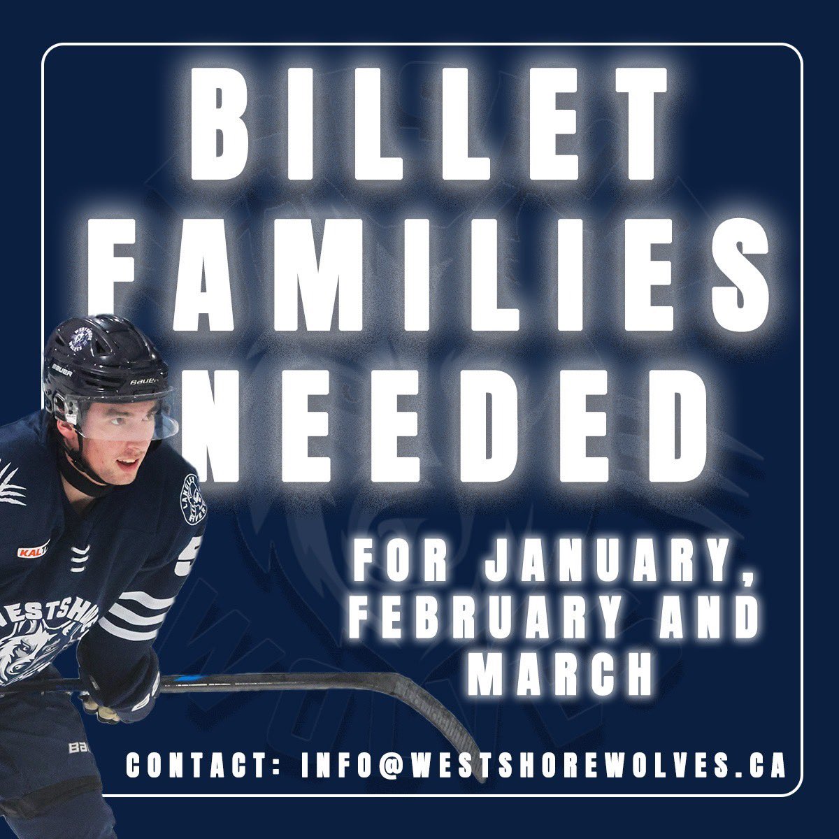 We are in search of homes for our players for January, February and March.

Perks include; tickets to games and a monthly stipend!

For more information, please contact: info@westshorewolves.ca