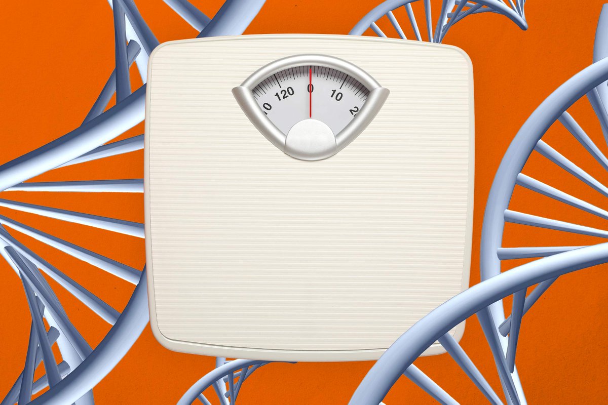 UVA Engineering (@uvaengineers) on Twitter photo New research from BME Ph.D. student Jordan Reed and her UVA team showed how weight and metabolism are likely determined more by a person’s genetics than their diet.
Read more: at.virginia.edu/mavqf3
<a href="/iScience_CP/">iScience journal</a> <a href="/UVABME/">Virginia BME</a> New research from BME Ph.D. student Jordan Reed and her UVA team showed how weight and metabolism are likely determined more by a person’s genetics than their diet.
Read more: at.virginia.edu/mavqf3
<a href="/iScience_CP/">iScience journal</a> <a href="/UVABME/">Virginia BME</a>