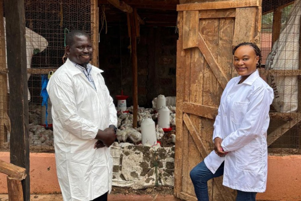 Feed the Future (@feedthefuture) on Twitter photo 🐓 #FeedtheFuture’s @FoodSafetyIL is tackling microbial food safety in the poultry value chain by improving practices and technologies. Read how the lab is safeguarding public health and boosting industry standards: ow.ly/Ij2850UAA58 <a href="/LifeAtPurdue/">Purdue University</a> 🐓 #FeedtheFuture’s @FoodSafetyIL is tackling microbial food safety in the poultry value chain by improving practices and technologies. Read how the lab is safeguarding public health and boosting industry standards: ow.ly/Ij2850UAA58 <a href="/LifeAtPurdue/">Purdue University</a>