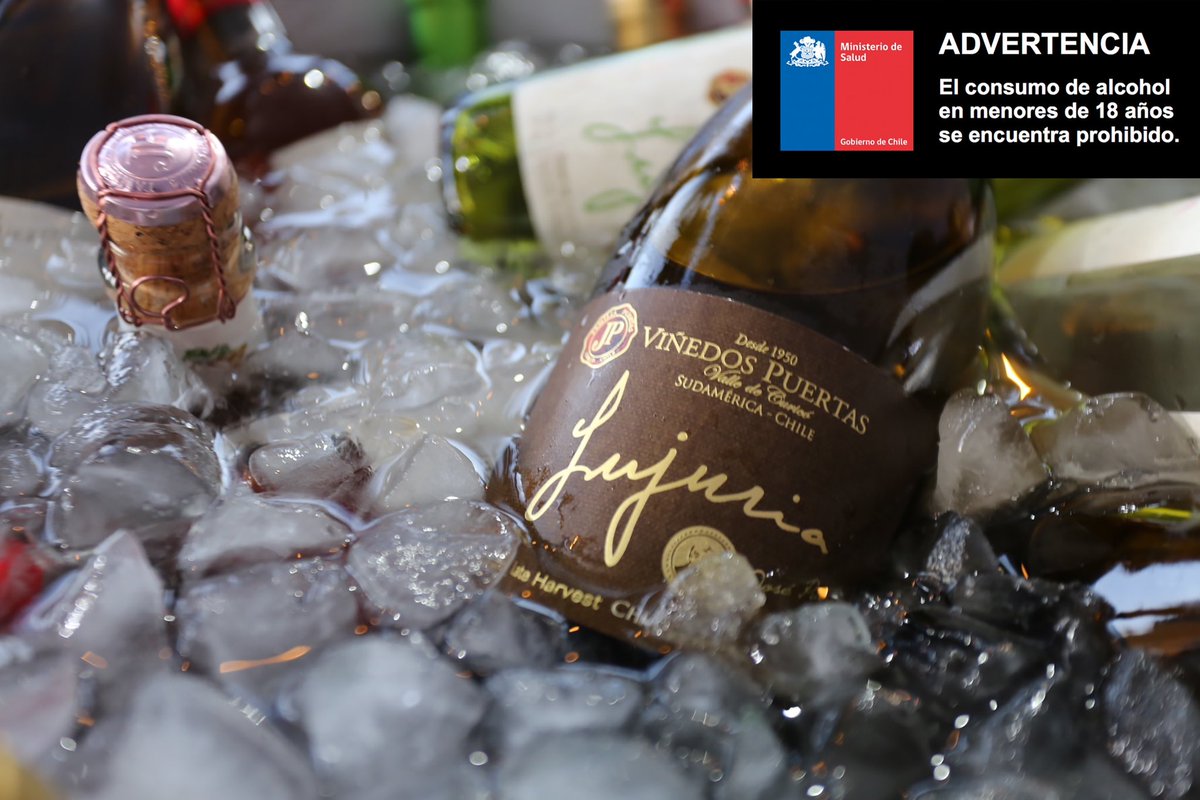 ¿Tienes un evento y quieres contar con una buena selección de vinos?

Cotiza con nosotros, ofrecemos un amplio portafolio de distintas variedades, estilos y precios, todos 100% origen Valle de Curicó. 

Además contamos con accesorios, para que tu evento sea el momento especial