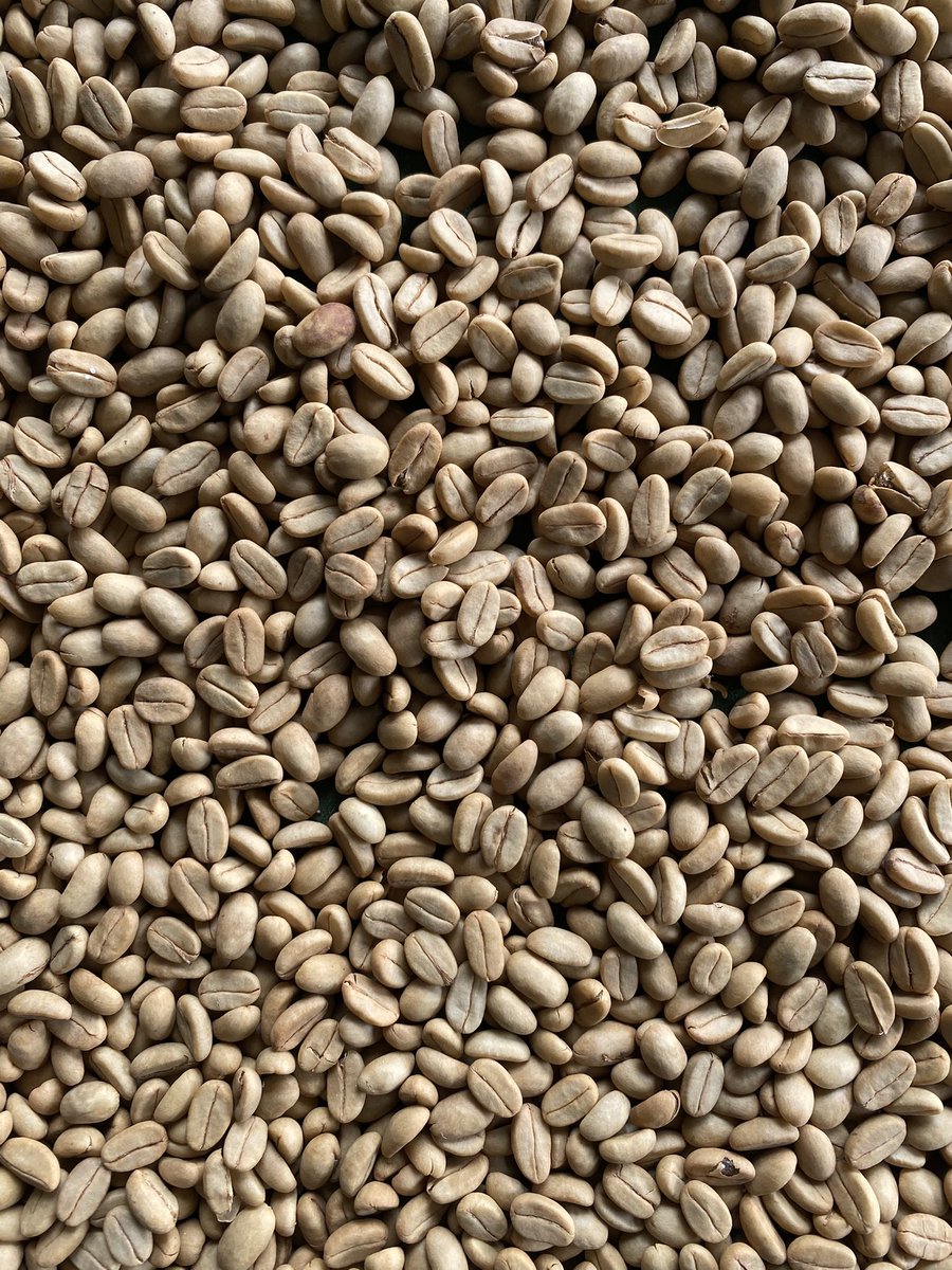 Specialty Coffee Processing 
🍒 Natural 
🍯 Honey 
✨ Washed