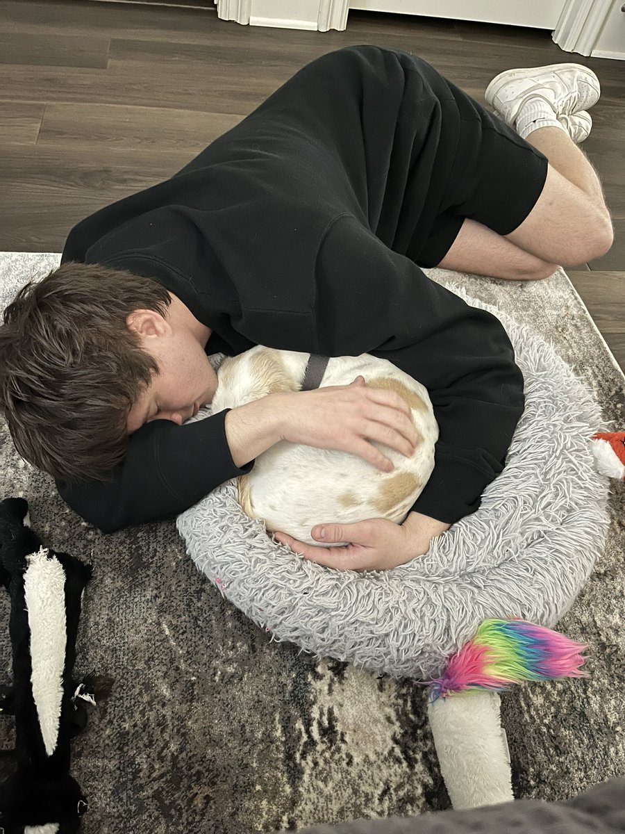 alecbenjamin tweet media